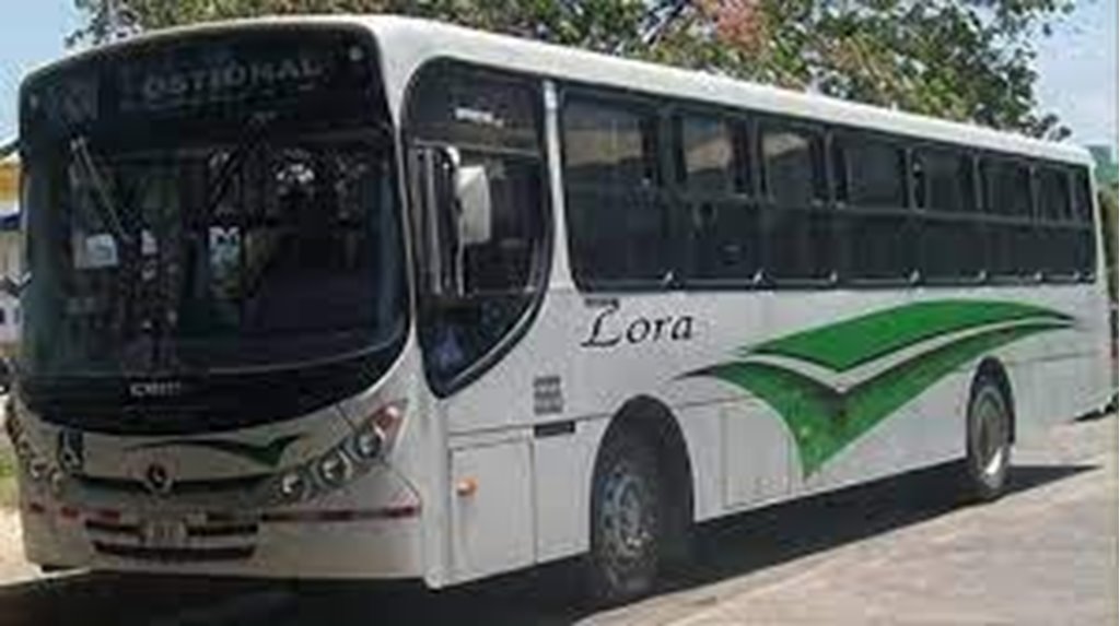 Servicios de Buses de Santa Cruz a Alajuela