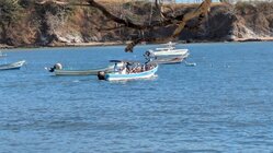 Tour de Snorkeling en Lancha para hasta 9 Personas