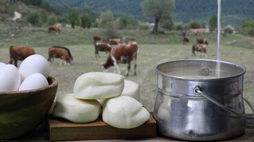 Picture for category Cheese and Dairy Producers in Alajuela