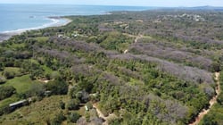 Prime 10,000 m² Mixed-Use Lot – 500m from Marbella Beach