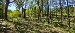 Prime 10,000 m² Mixed-Use Lot – 500m from Marbella Beach